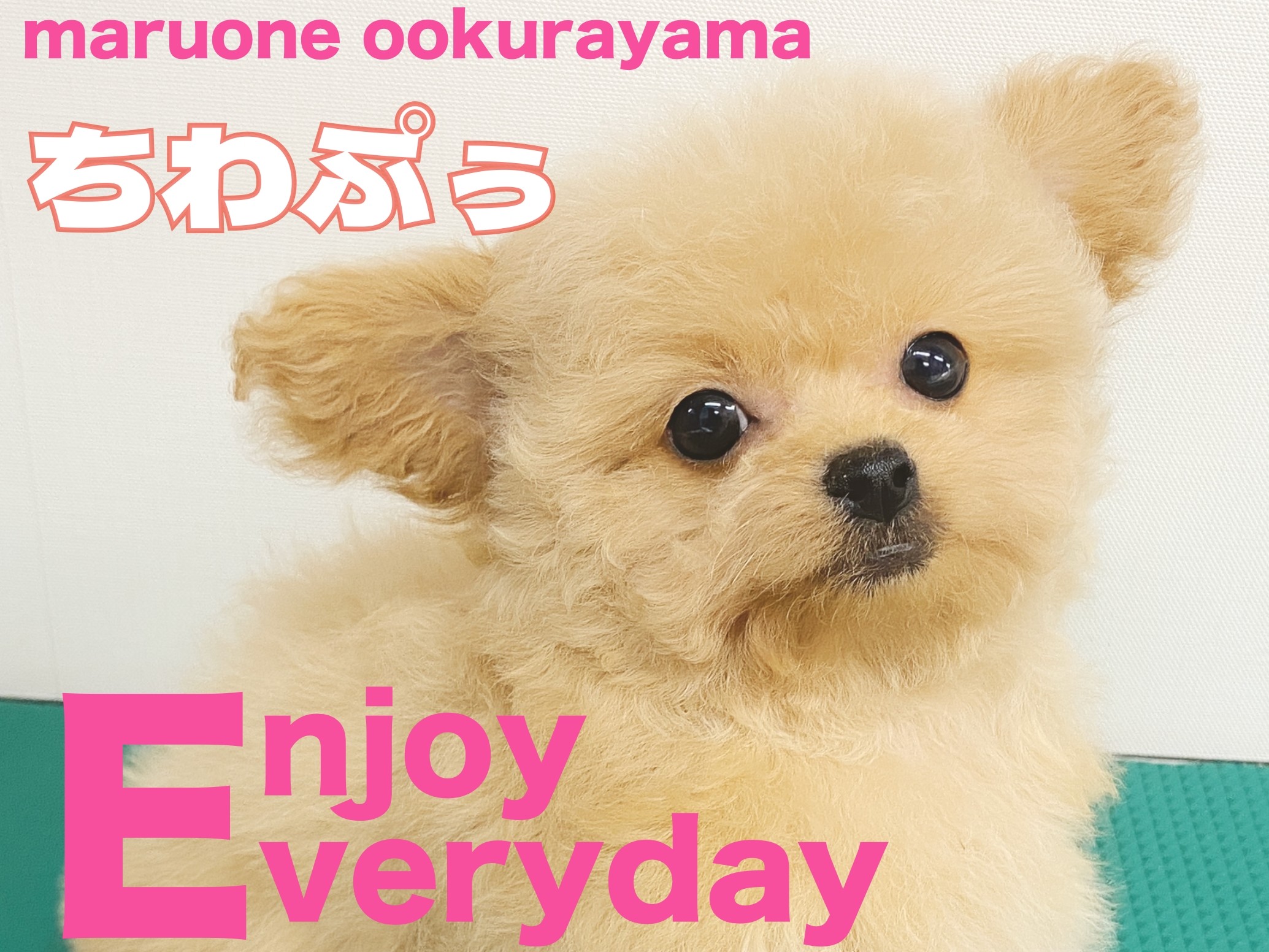 マルちゃん⚠︎シャンプーユニット購入確定の方のページです⚠︎ ~①~ ママ＆キッズ おさるのジョージ ベビー全身シャンプー | マタニティ