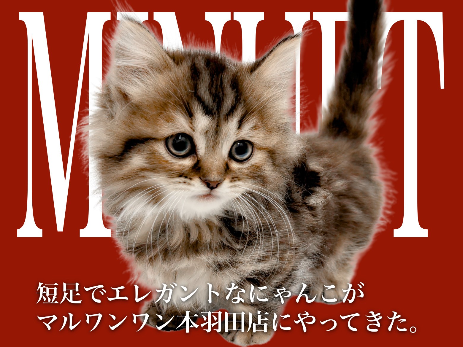 dca2f7c0ef9e78ee9f182f8ed84fa3