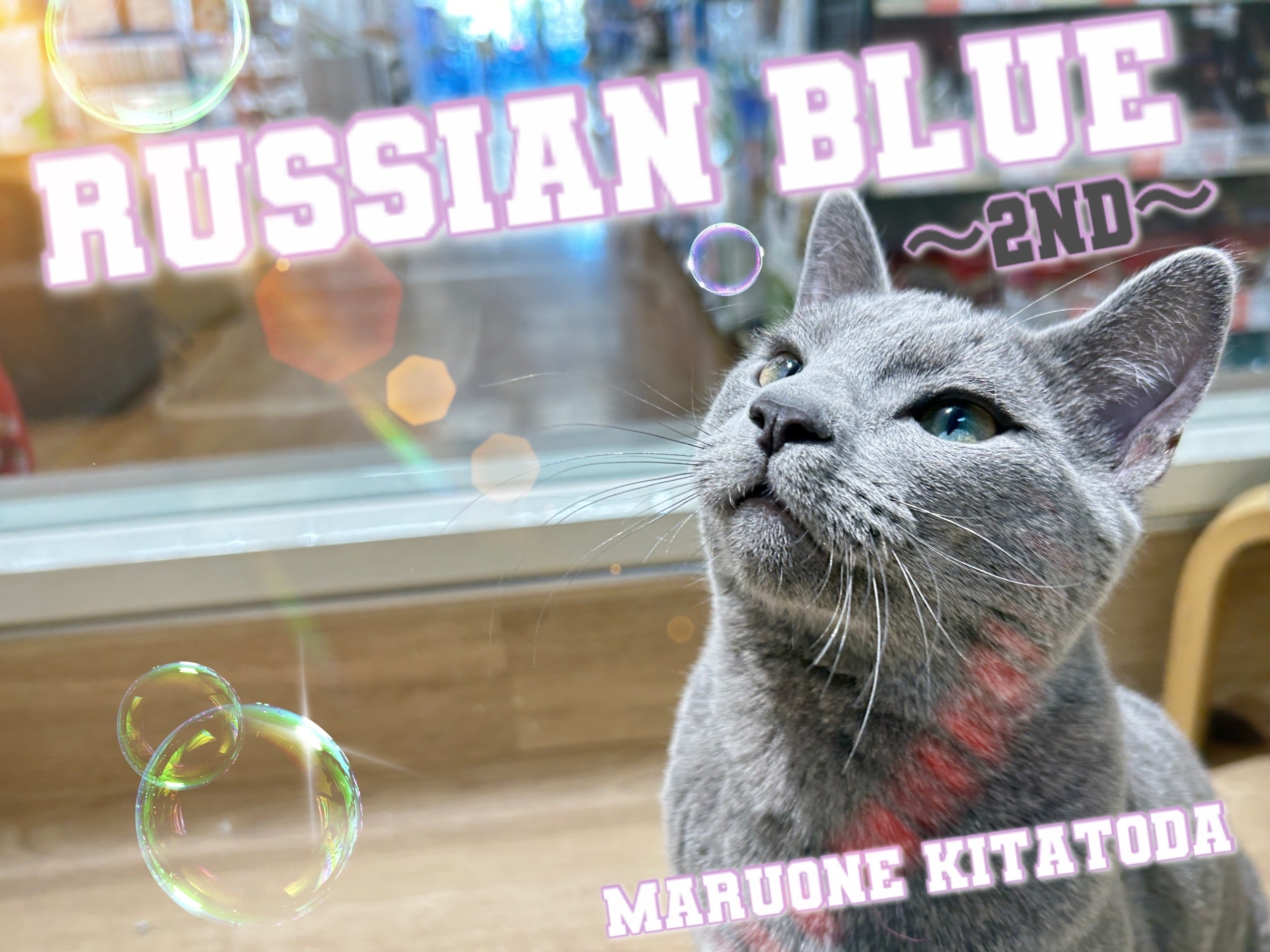 ea54a8337a87ea70e4c40266ff6d51