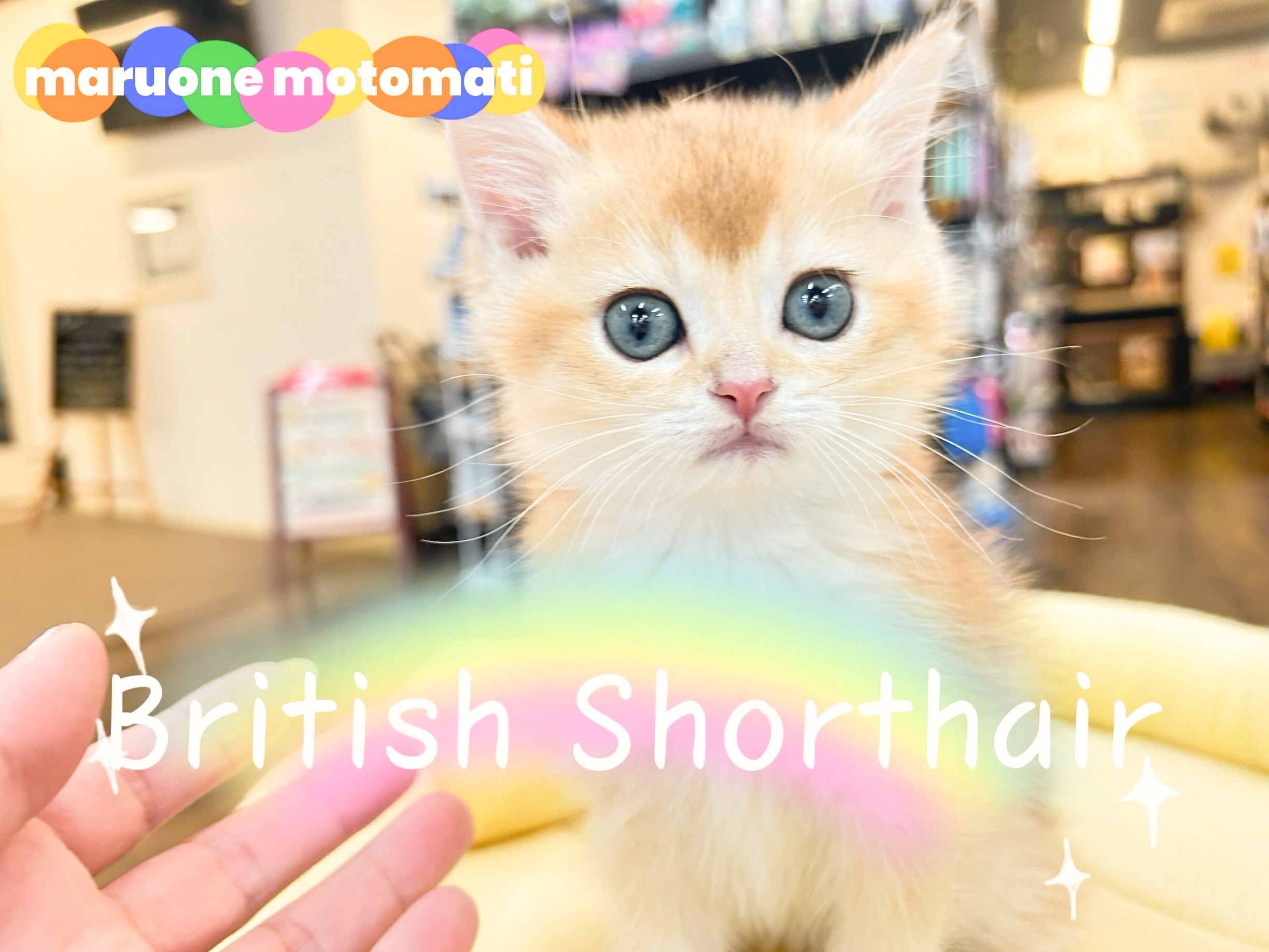 c7b68979fb8cfc9c61226117fa3eeb