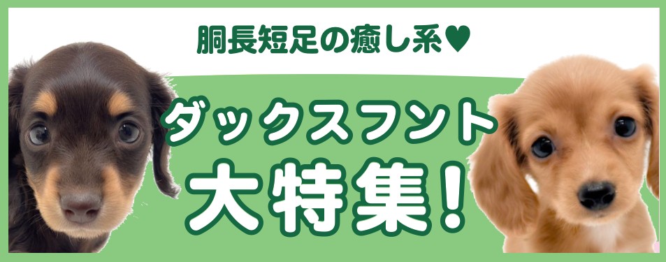 特集犬ダックスフント