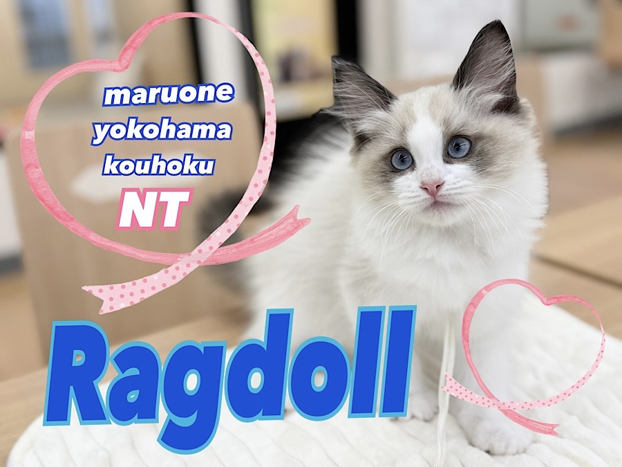 3e4135f7af4467f3a56f748f2cacf8