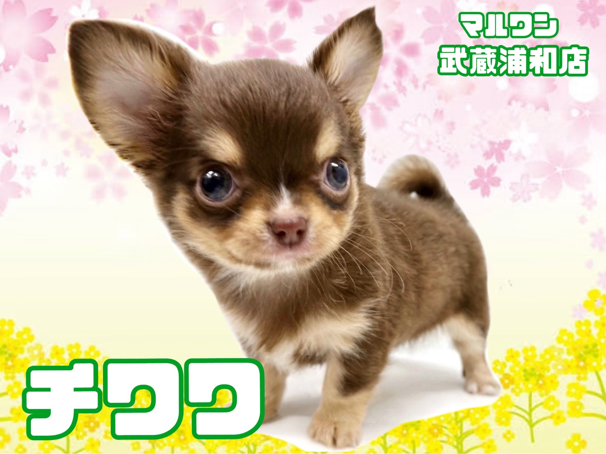 * vintage figure ❀ ブラウンの毛並みが素敵な ワンちゃん vintage figure ❀ ブラウンの毛並みが素敵な ワンちゃん