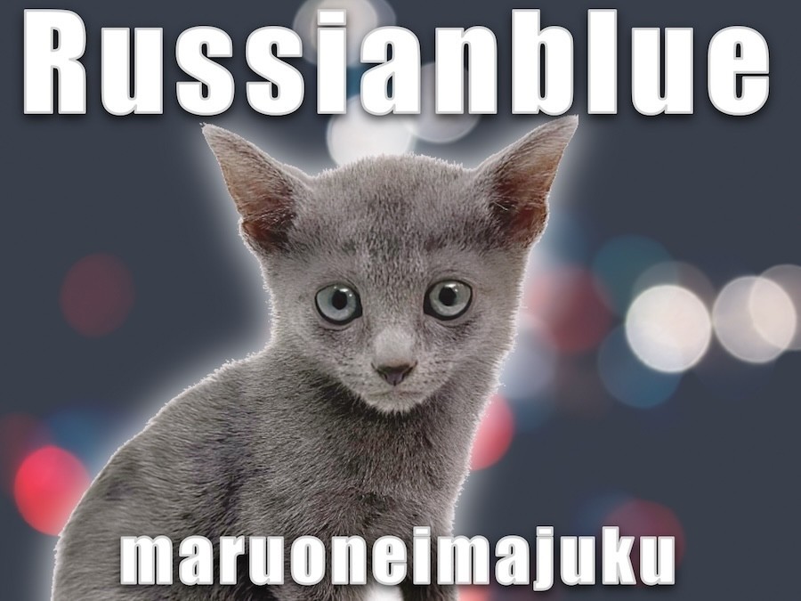 662fe889ab654354475a931291aa56