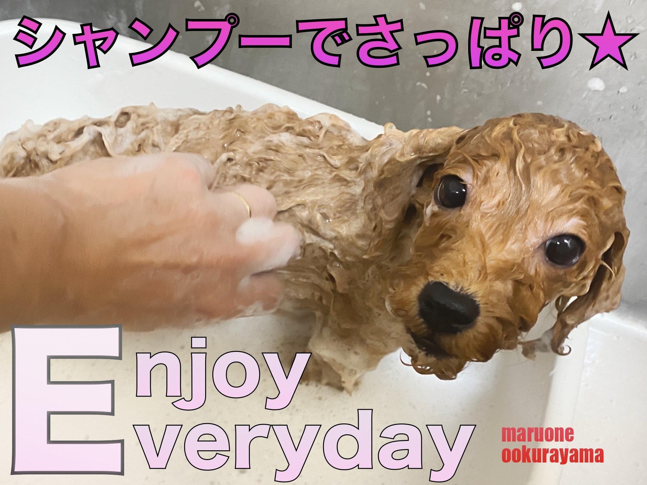 22299f003c065f8b3911c52293bcc0