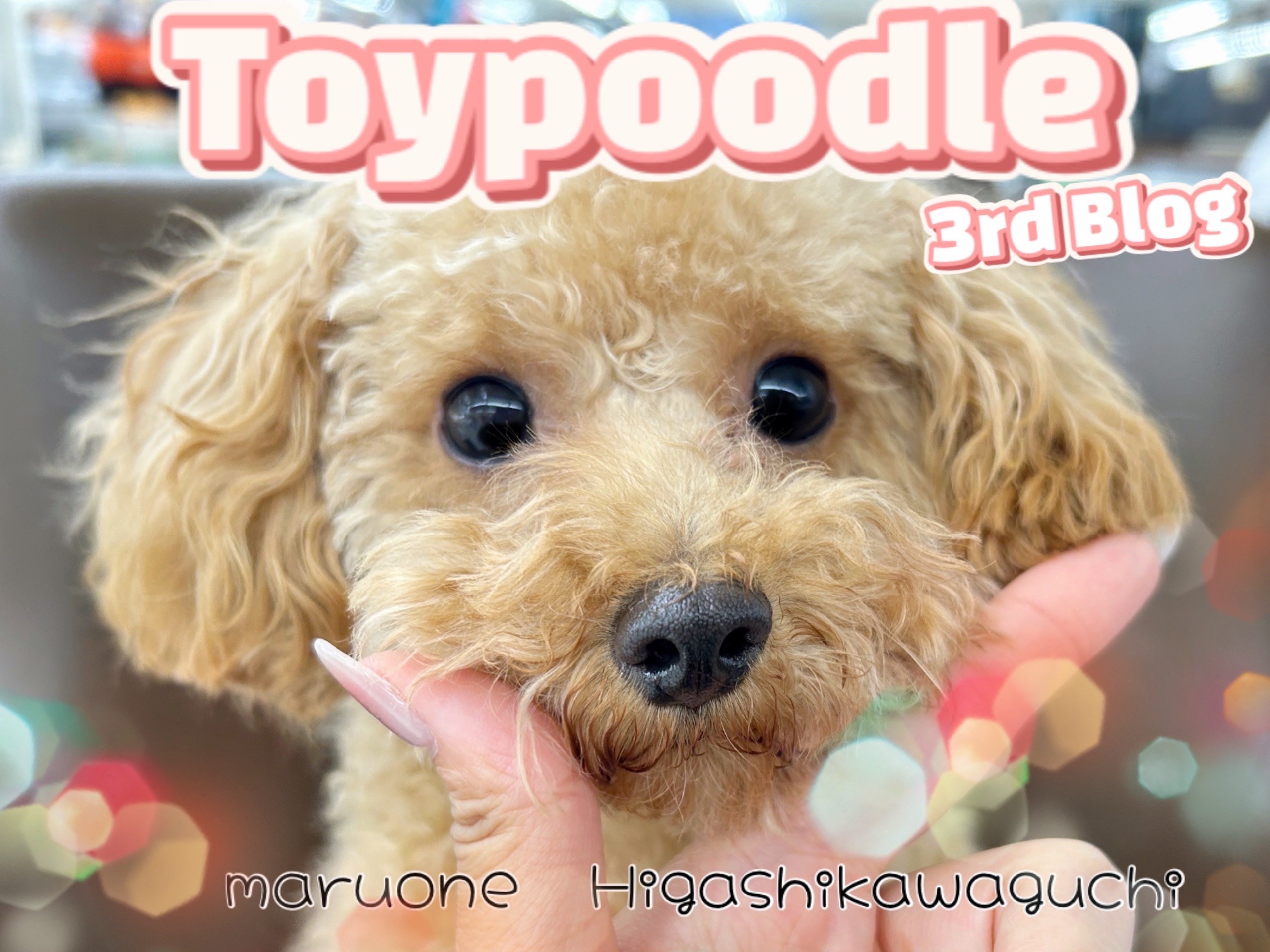 4f1b7011e2d6d18979de4d4882b12d