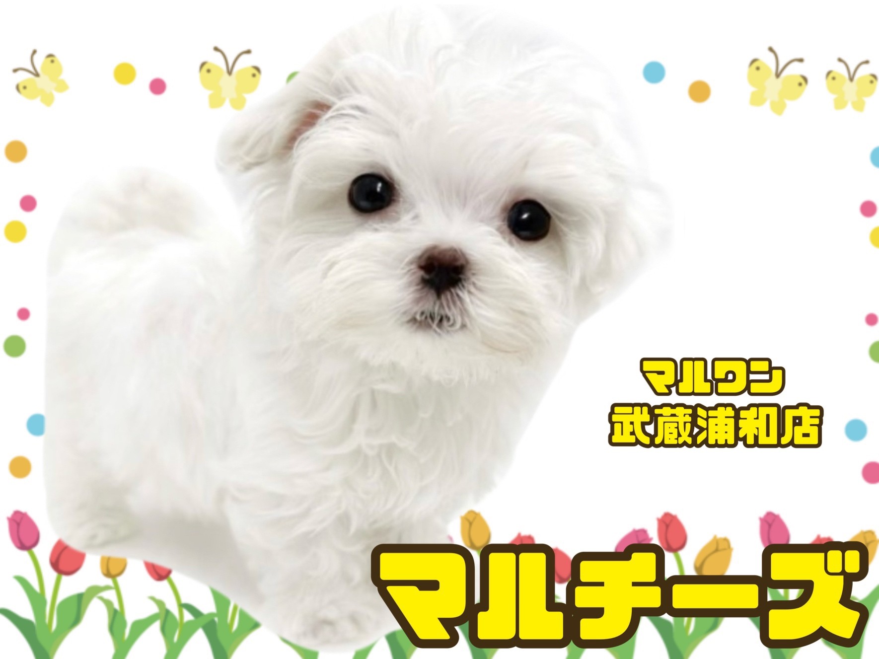 まるまる様確認用 ♥まるまる。様確認用ページ♥