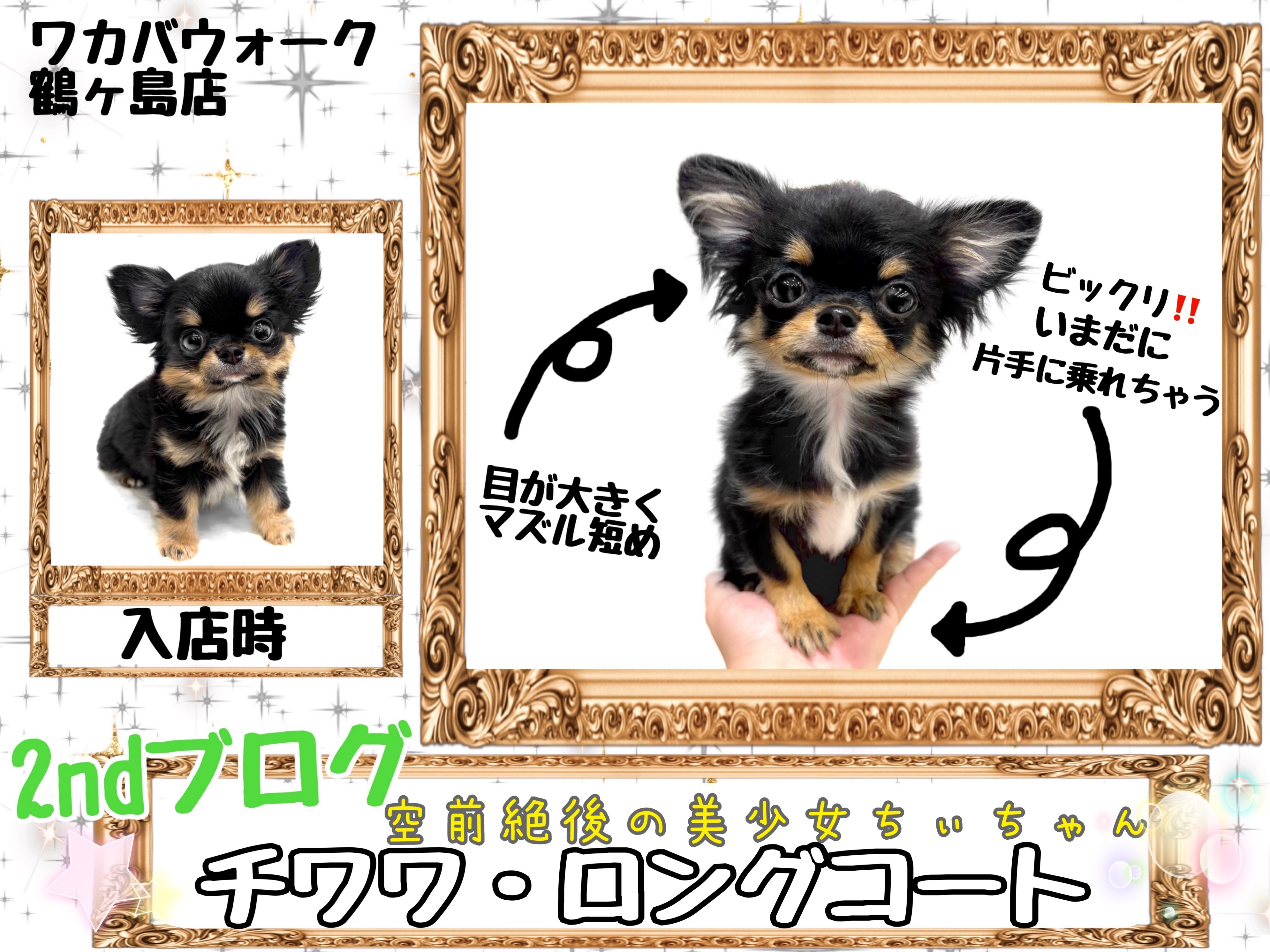 560a76ab183d7ef723832d253fbac2