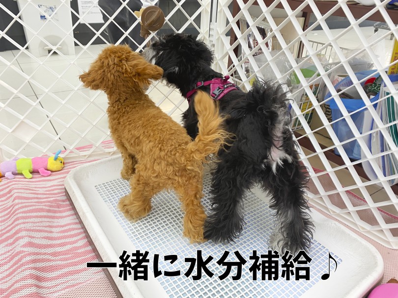 仲間としての認定行動 | フレンドトレーニング - 横浜 大倉山店
