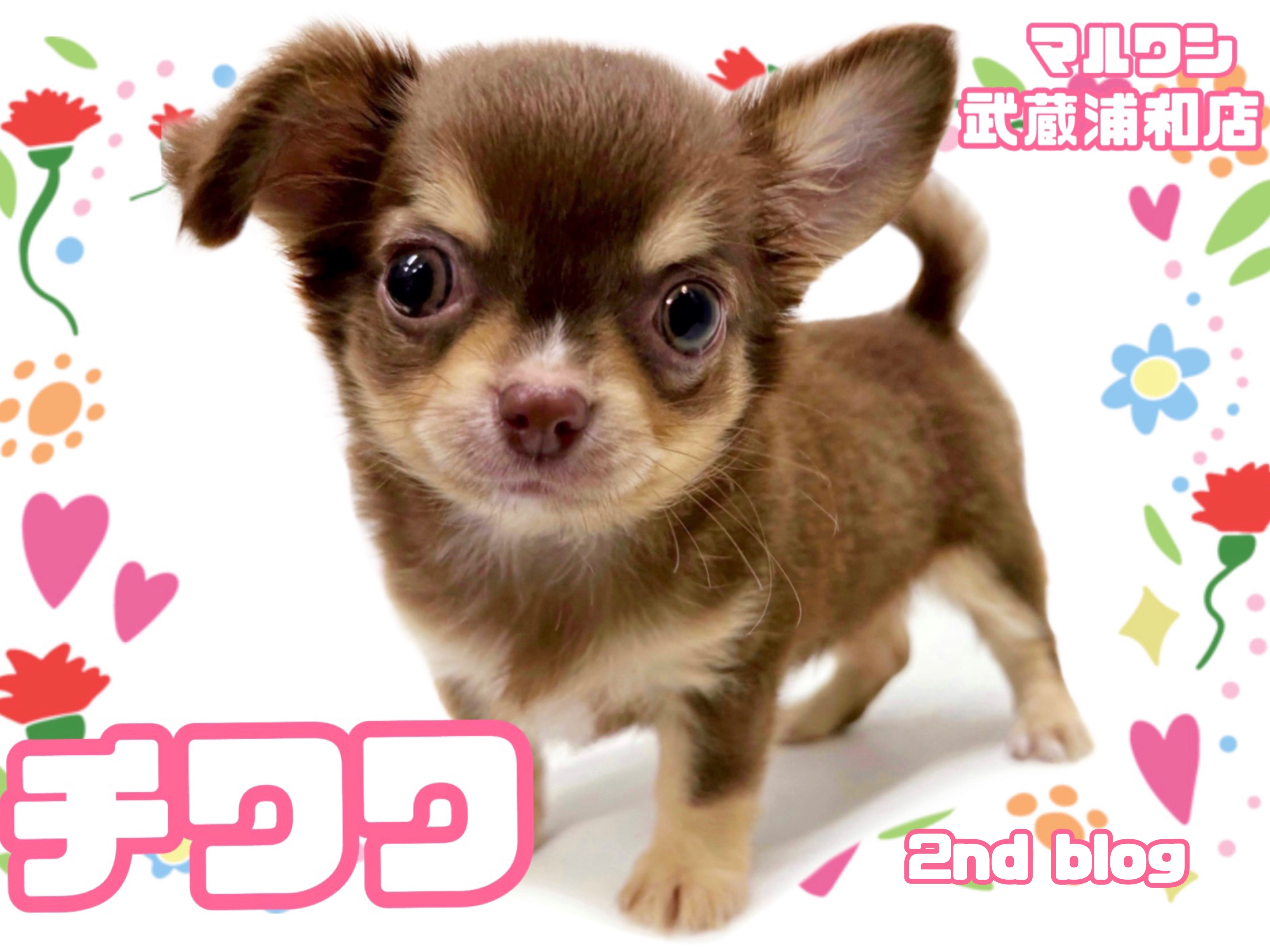 aa7e9b02764636caf524f8551f586f