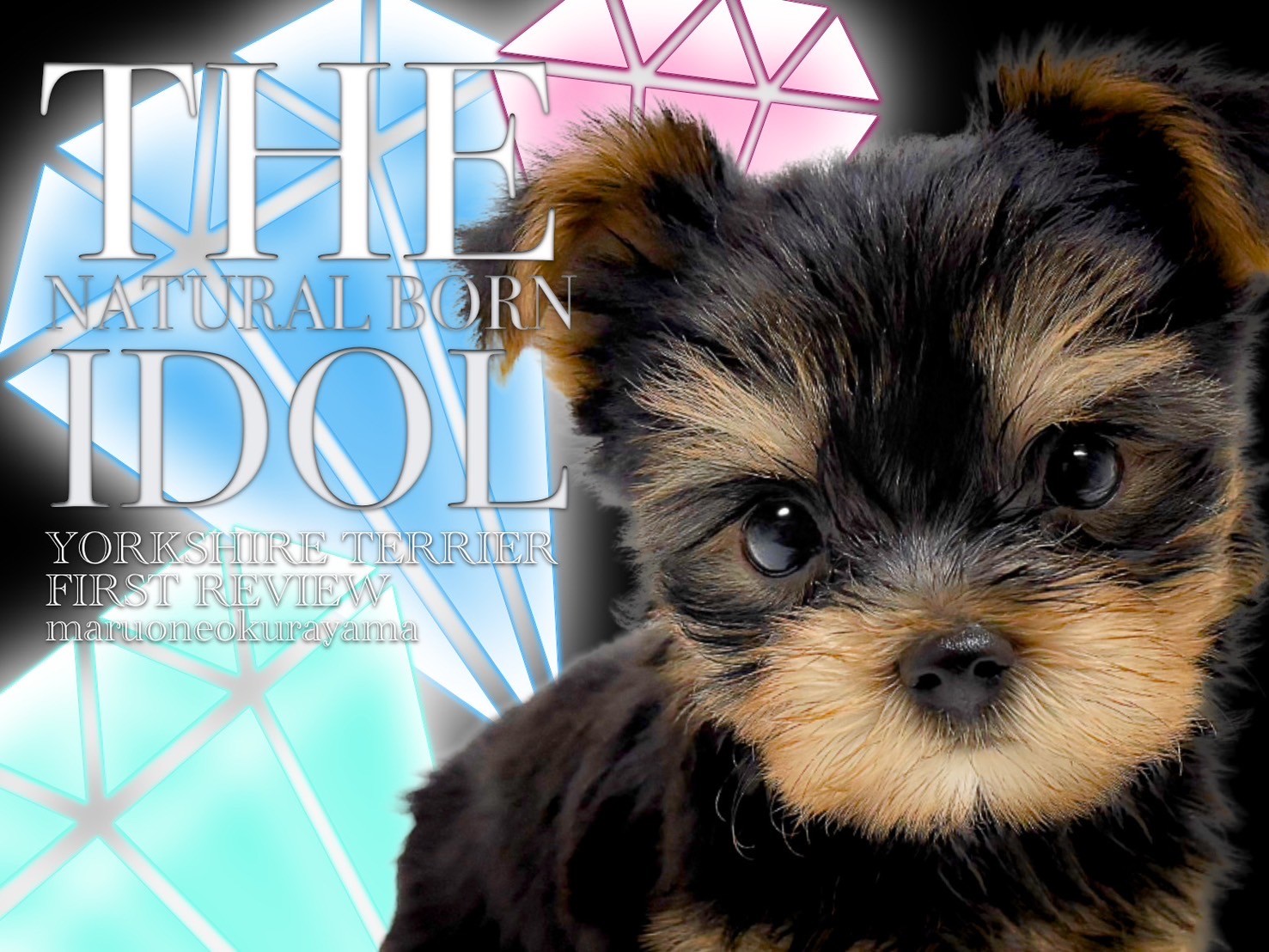 e6d9ad2bf1c73766af24ed04e05b02