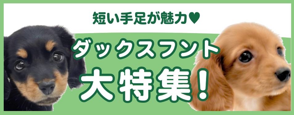 特集犬ダックス