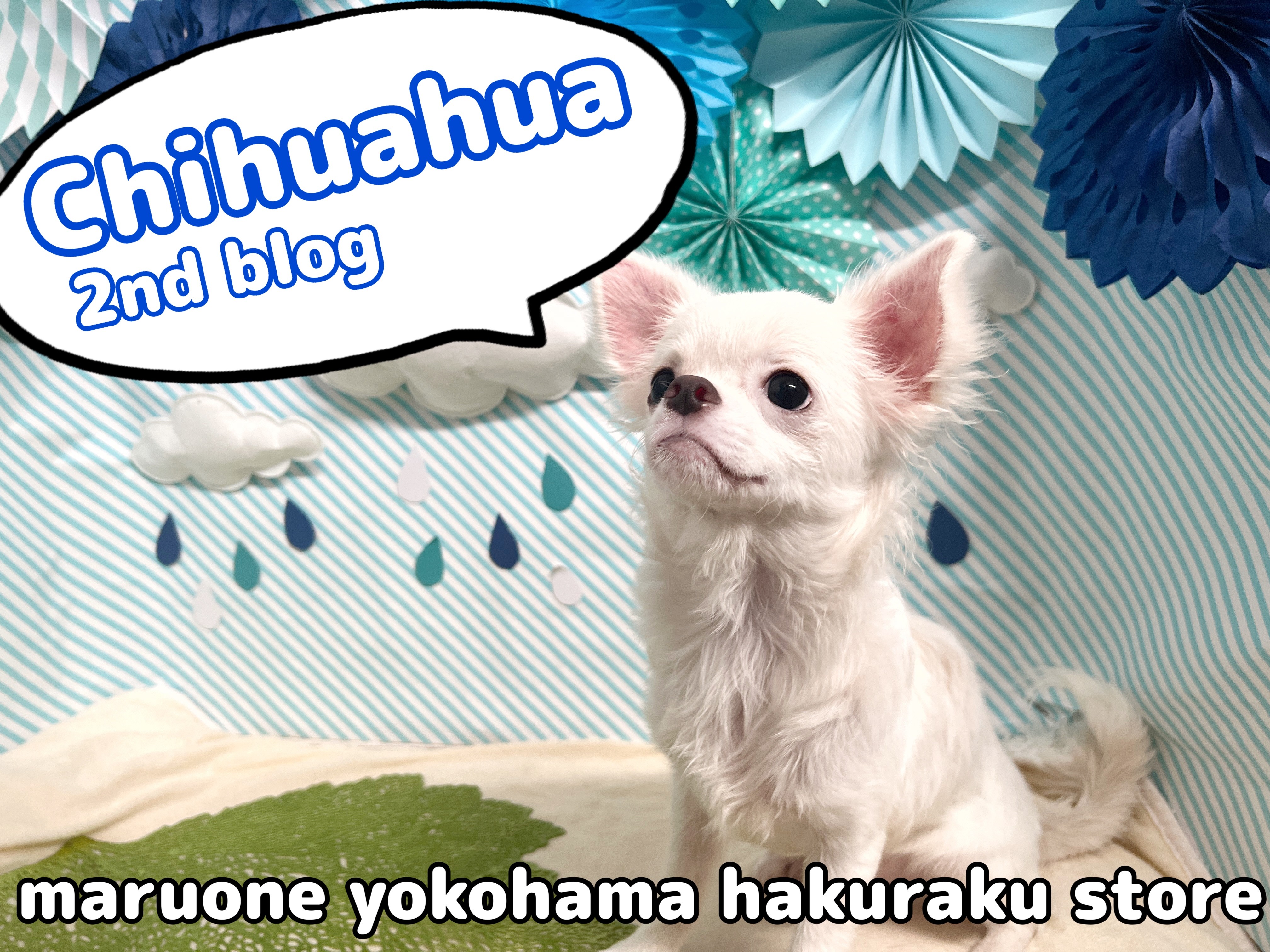 492a08dc8f49c88cb1a6301a6096ec