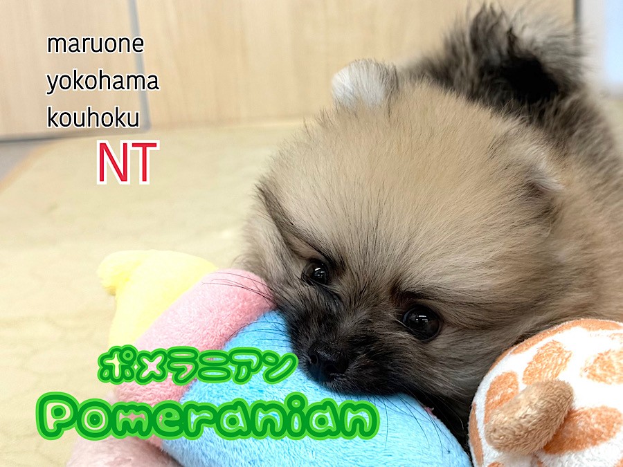 75a9e494abe989c21c52031c28849a