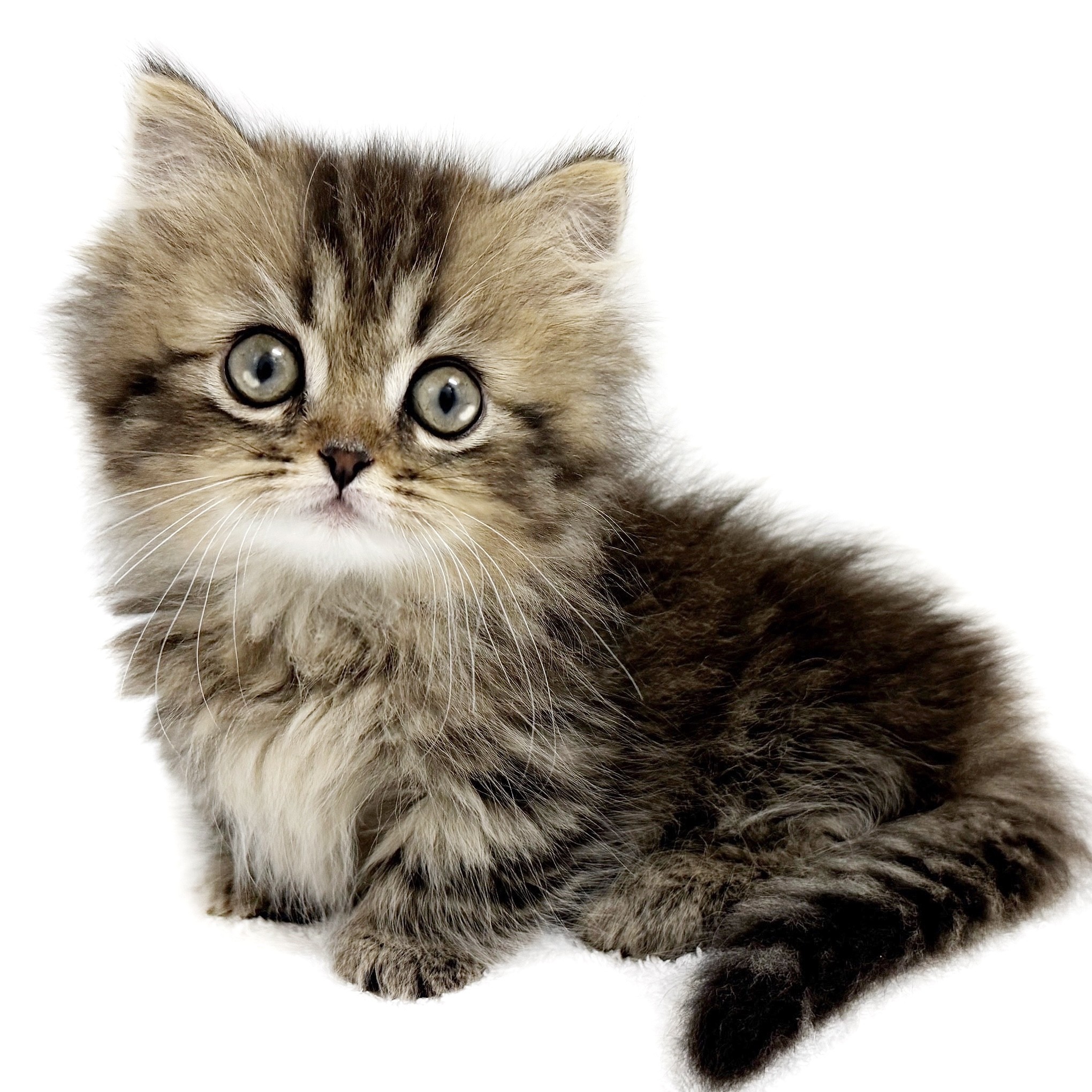 887cbdc4870483663131ef9a6b0c27