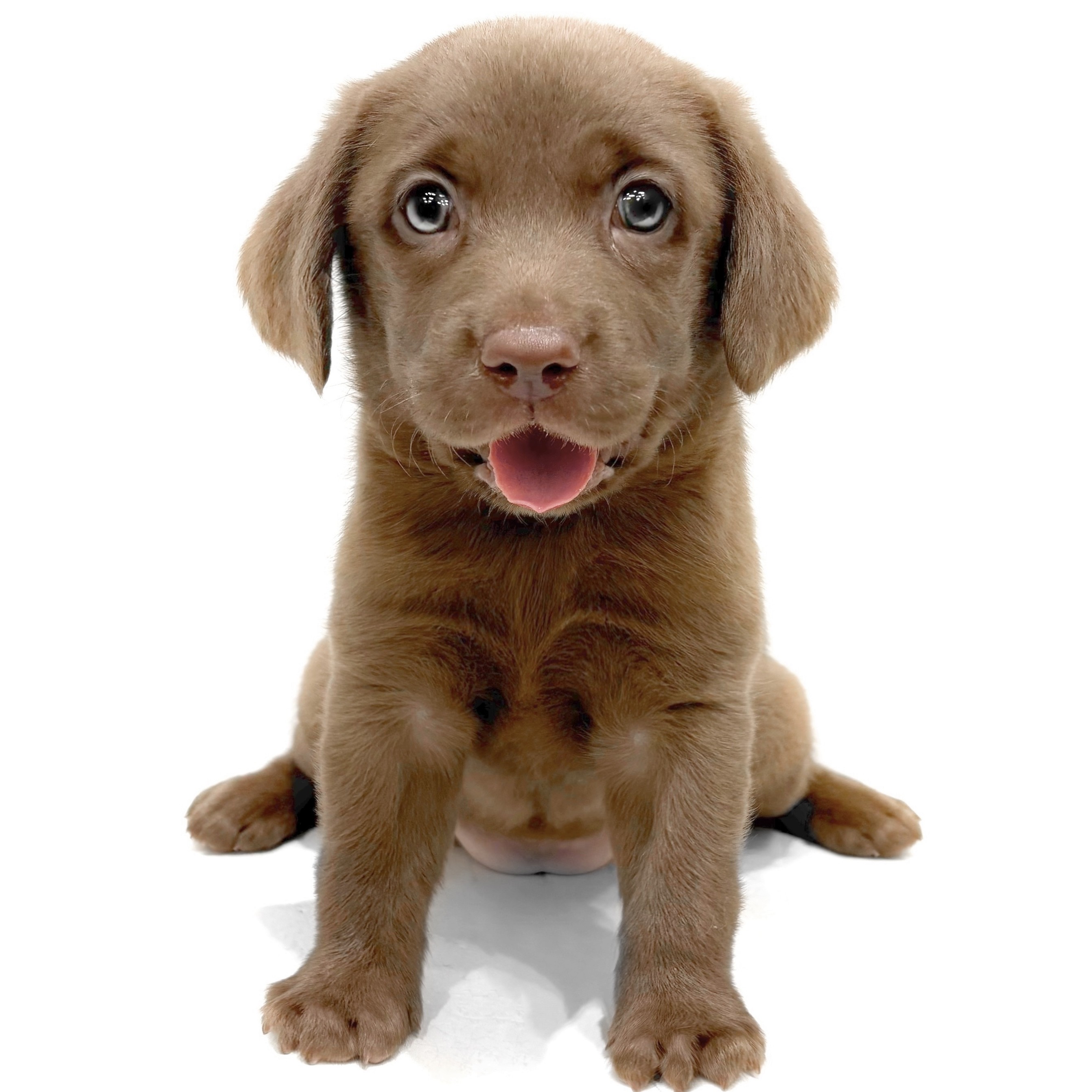 b1e6ad908305d144b15d298f506797