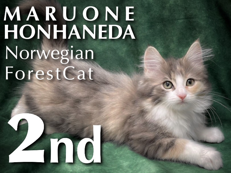 e151daf88bf003877a38e0714183c0