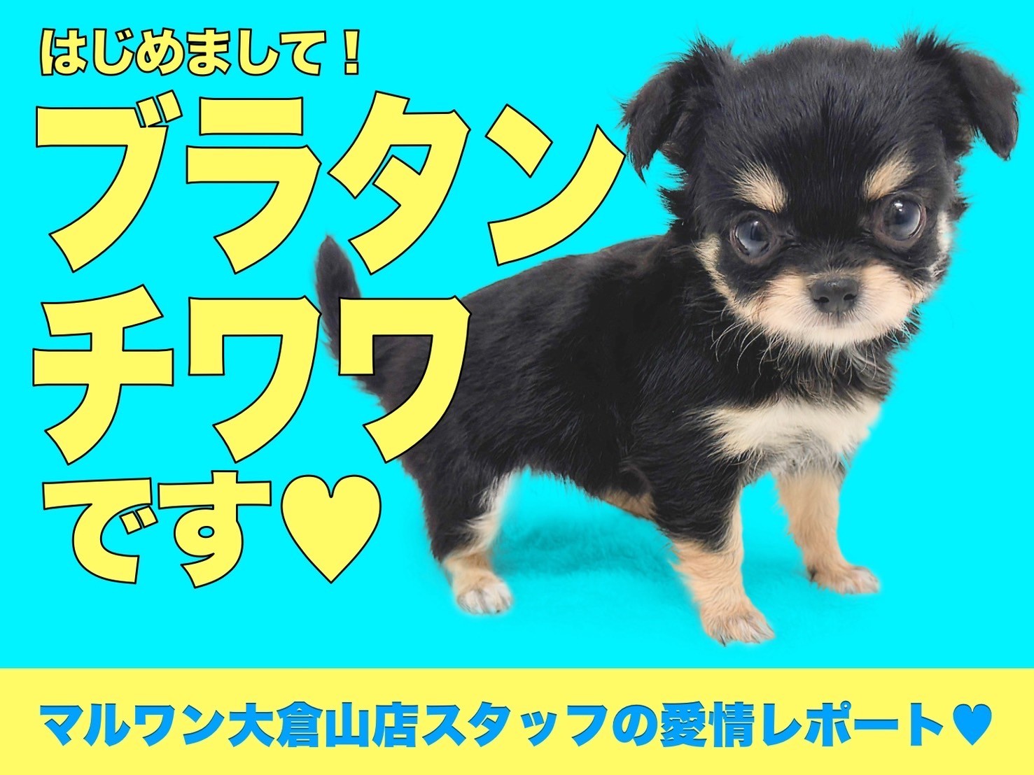 f98227c86a1b80440758b1c634118e