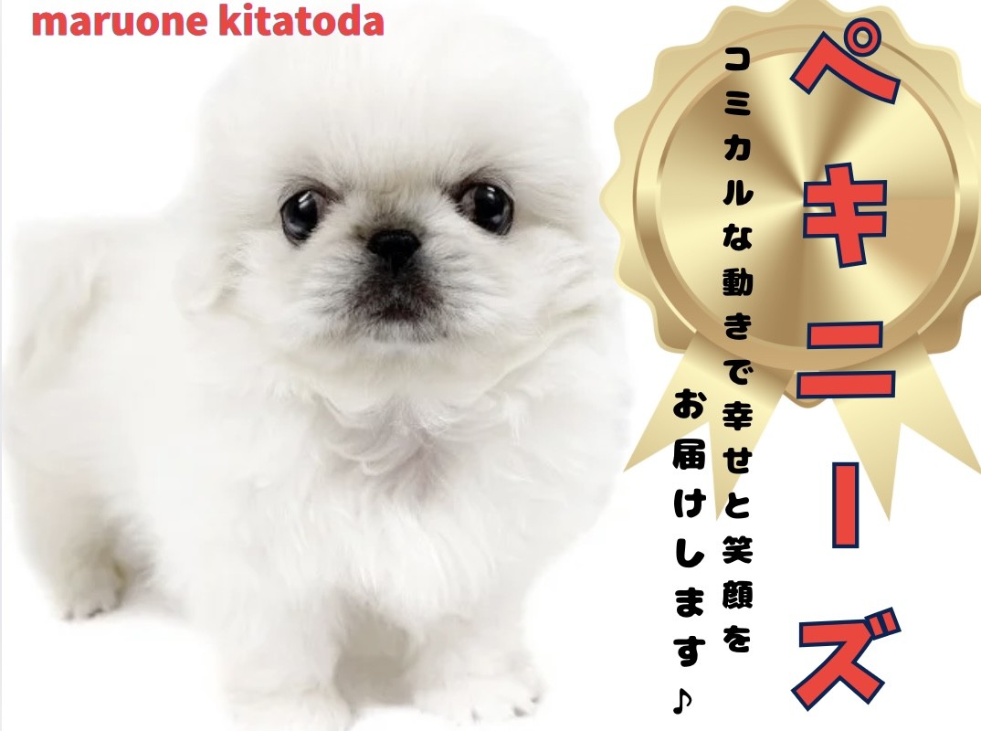 b84dcb4ada5628d7f5fba2e8ddaa5c