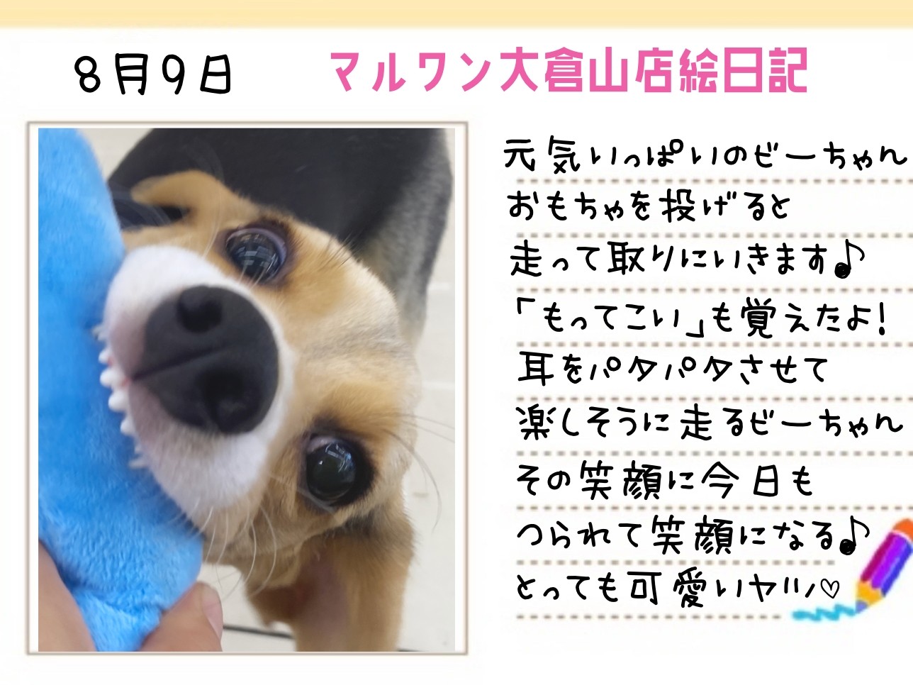 122884ff8e434a03318befcf3e41ed