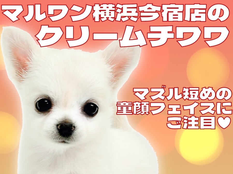 754ad5964498880c23704cbfd4d680