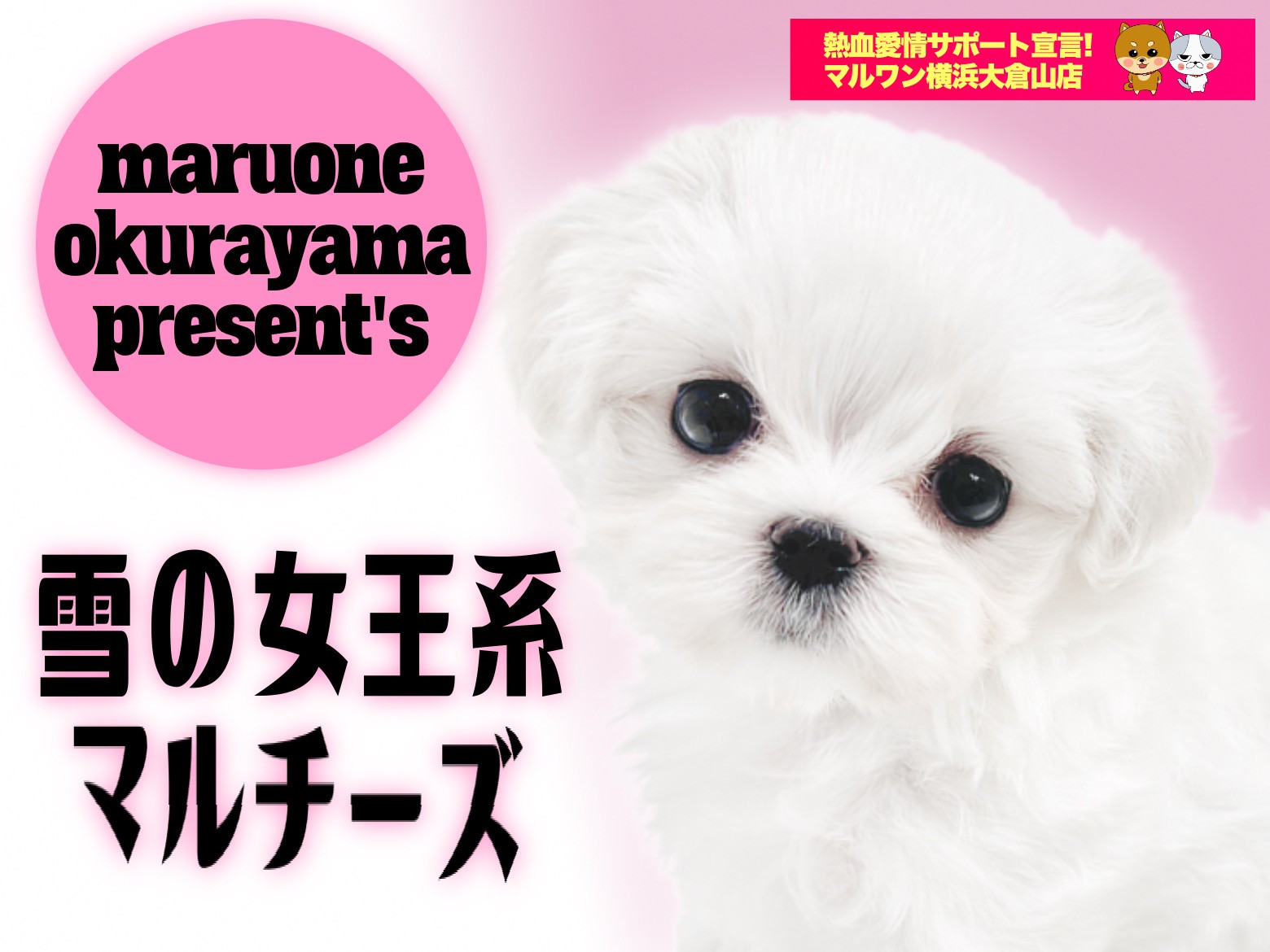 Marucoさん 海外マステ まとめ売り マルコ 動物 女の子 人物 Marucoさん 海外マステ まとめ売り マルコ 動物 女の子 人物