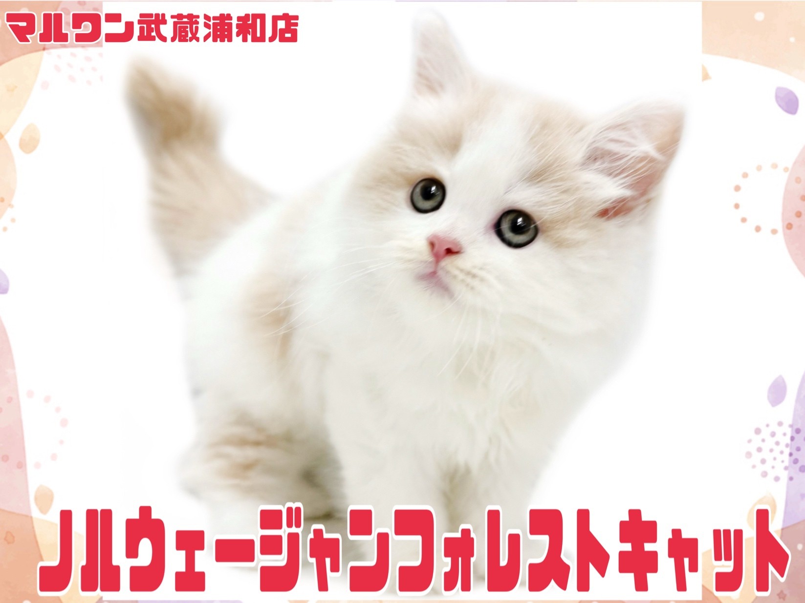 0b8d509c0902375dbe8beadf11bc8d