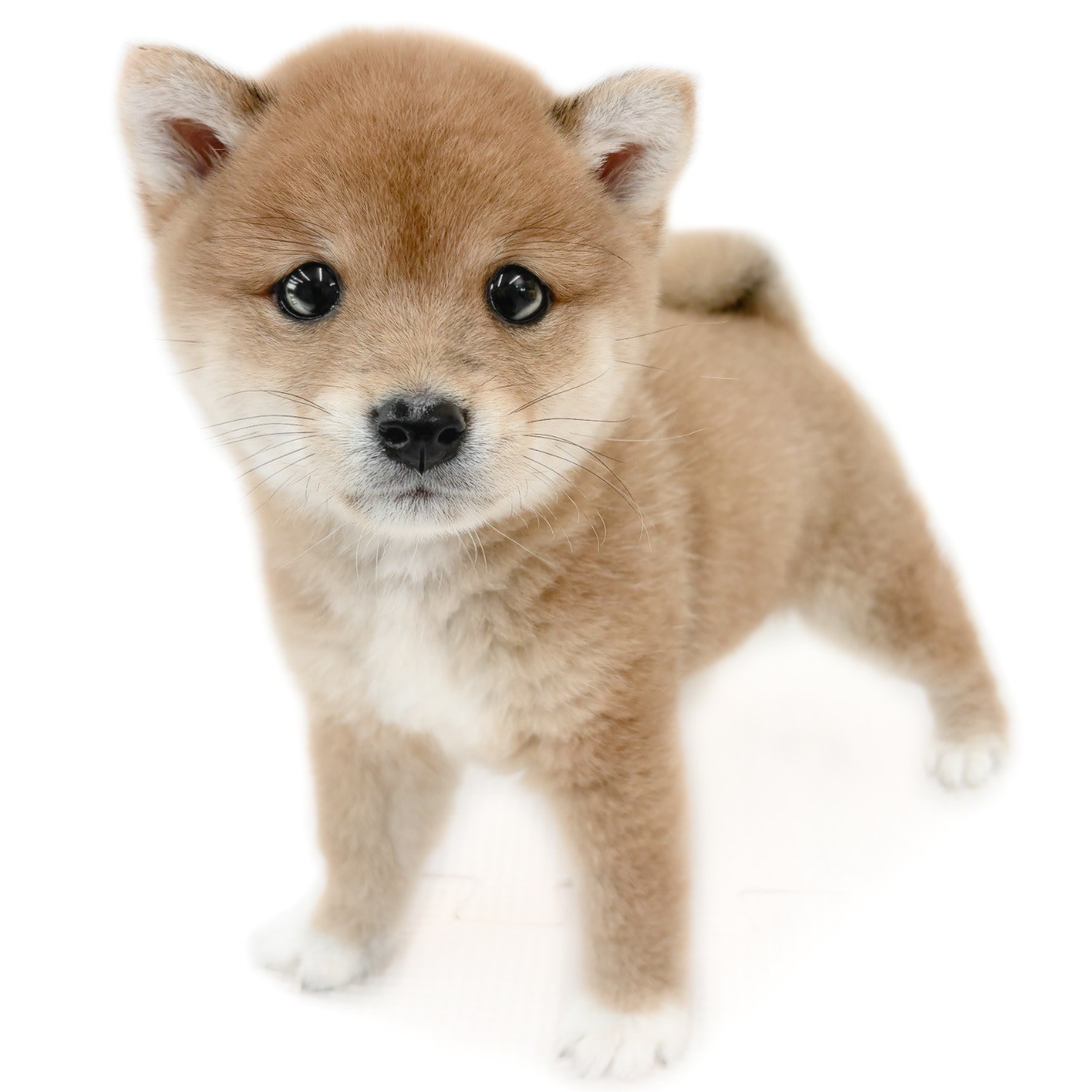 1d1b42eeefc22958b3b1ea89da6a70