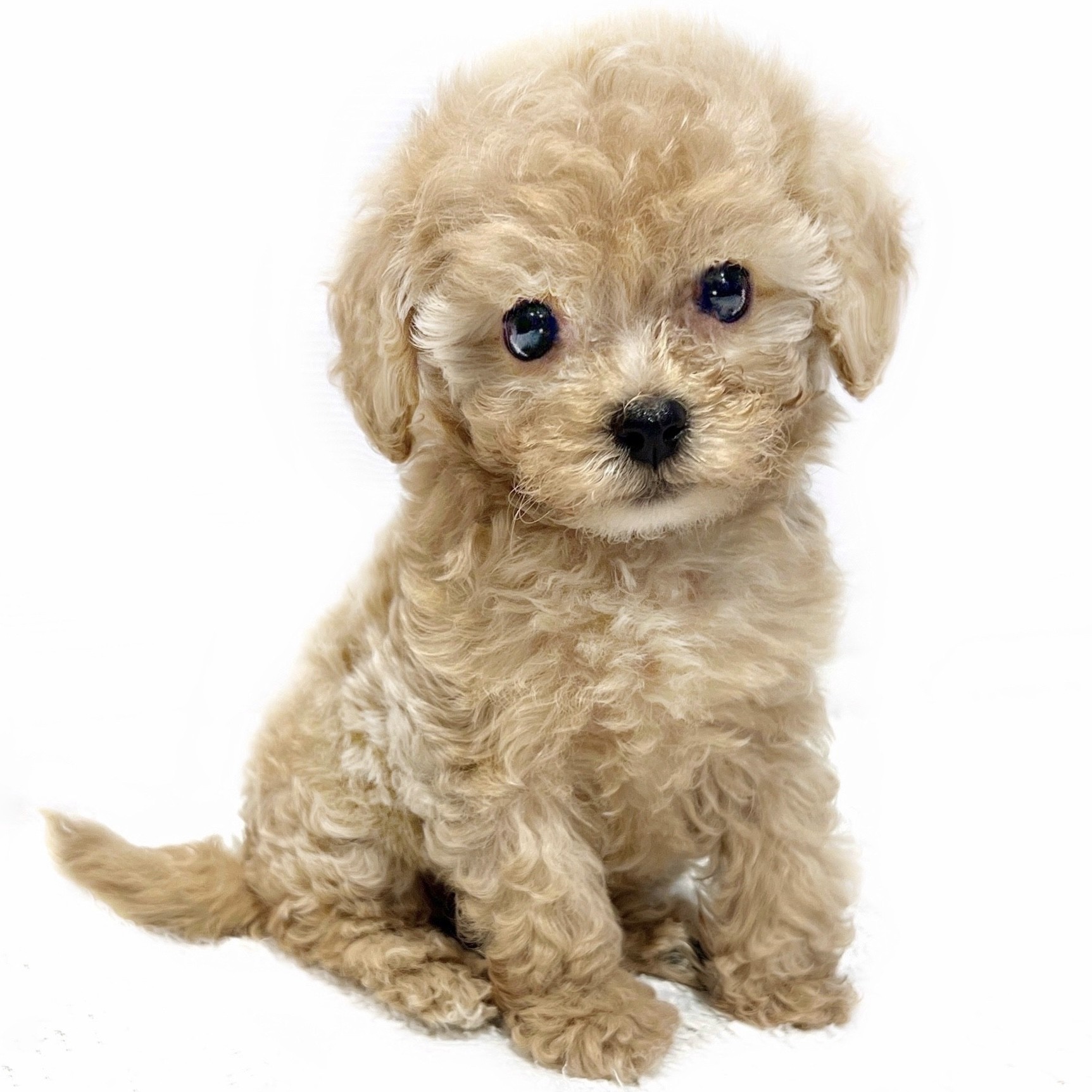 7843d93de64e0905fb66ff643221c4