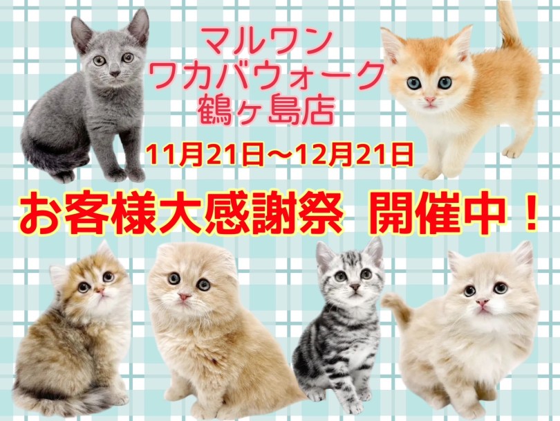 お知らせ 】お客様大感謝祭開催中！マルワンワカバウォーク鶴ヶ島店の
