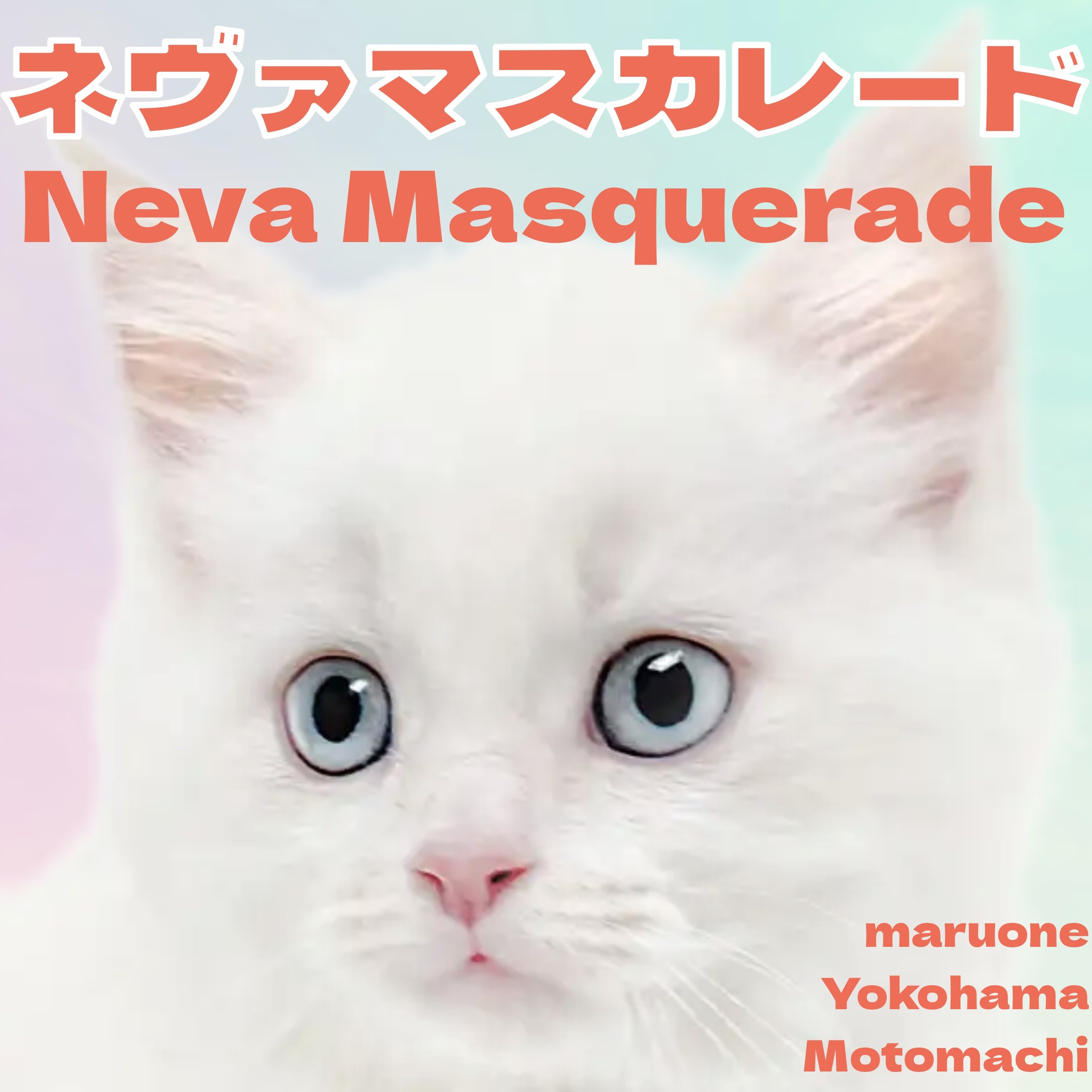 ネヴァマスカレード 】幻想的な青い瞳の仮面猫がマルワン横浜元町店に