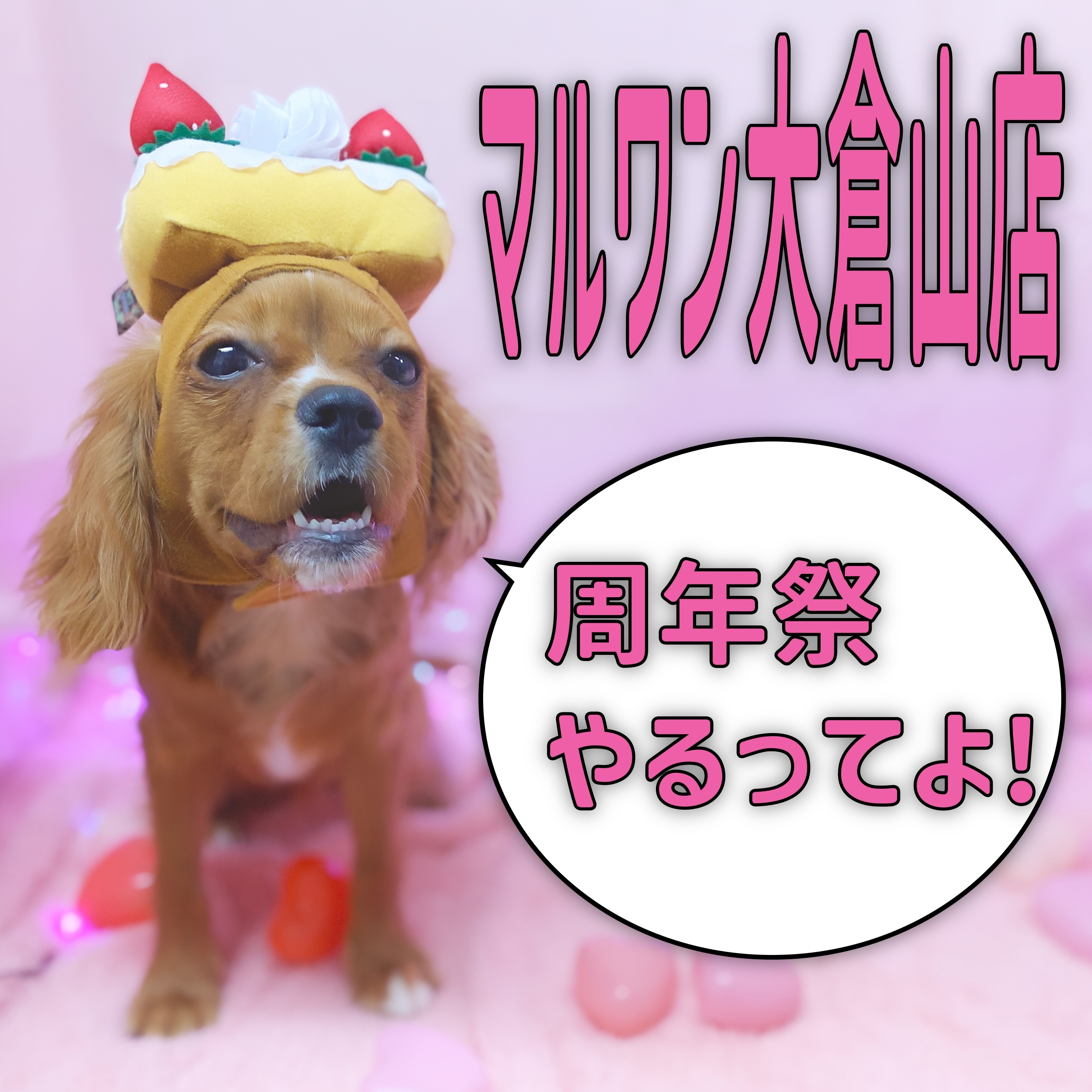 周年祭イベント 】13歳になる大倉山店を一緒にお祝いしよう
