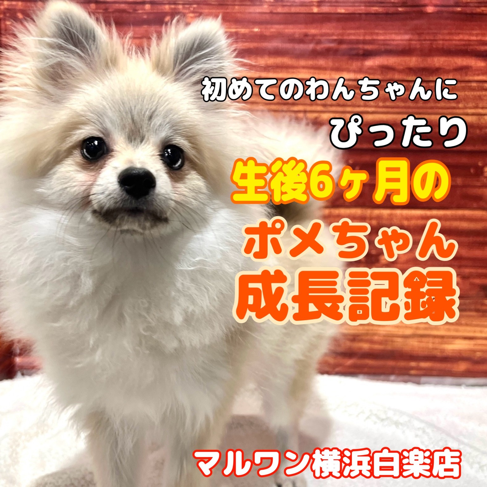 bbc2875b91c2451aa7530f74b77c7f