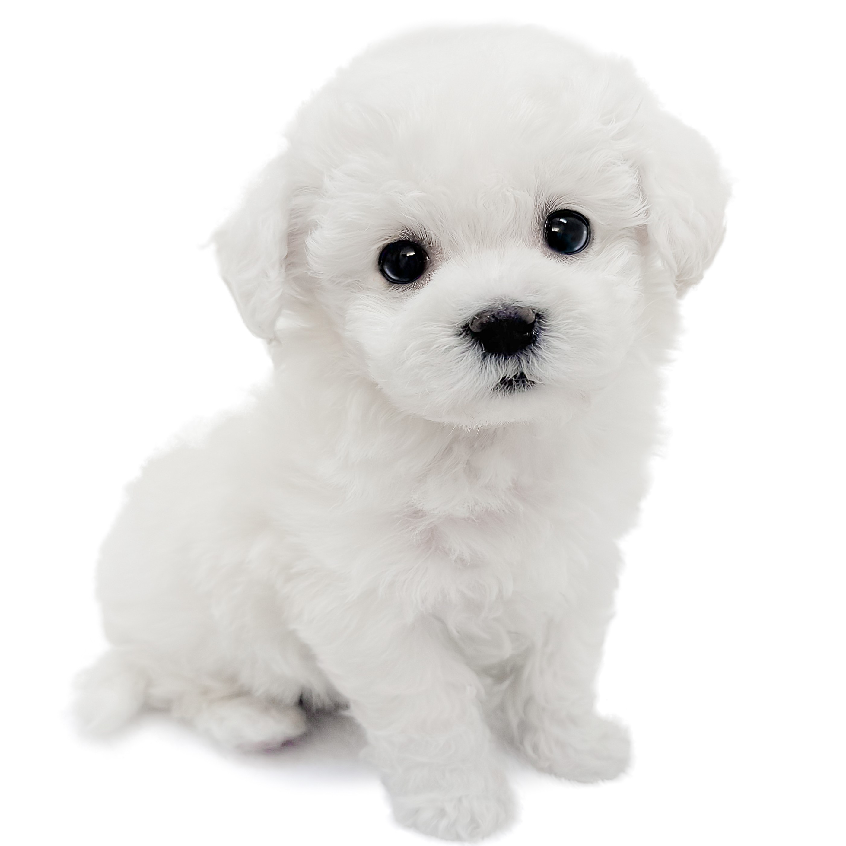 71dd951efdcb5c0c759a7f489ac869