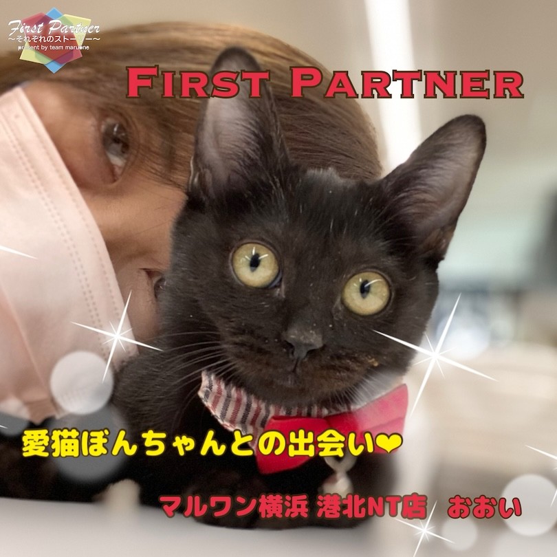ファーストパートナー 】マルワン港北NT店スタッフ大井の愛猫物語