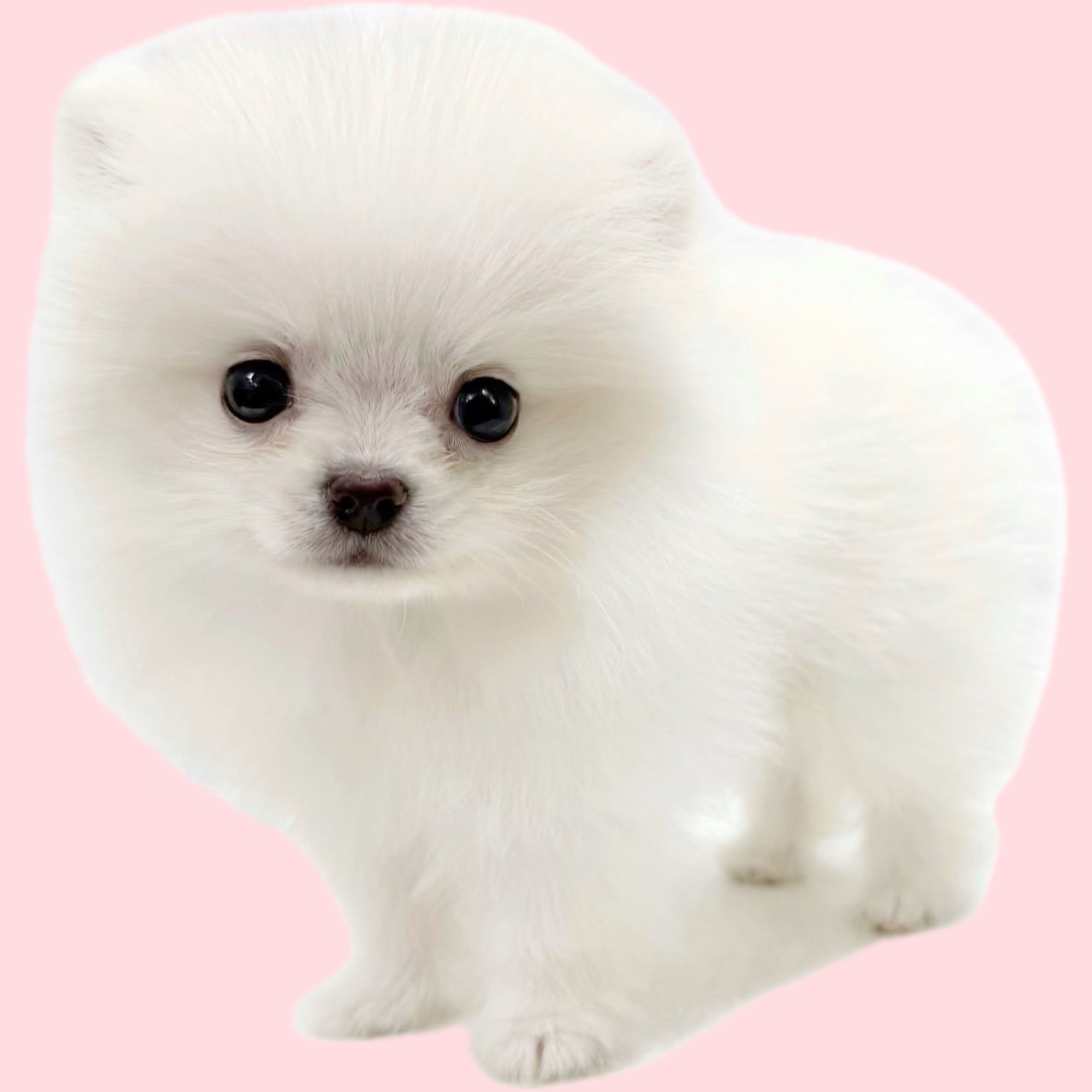 a0d137bb7c6b1e2c3a86a6449d3b9b