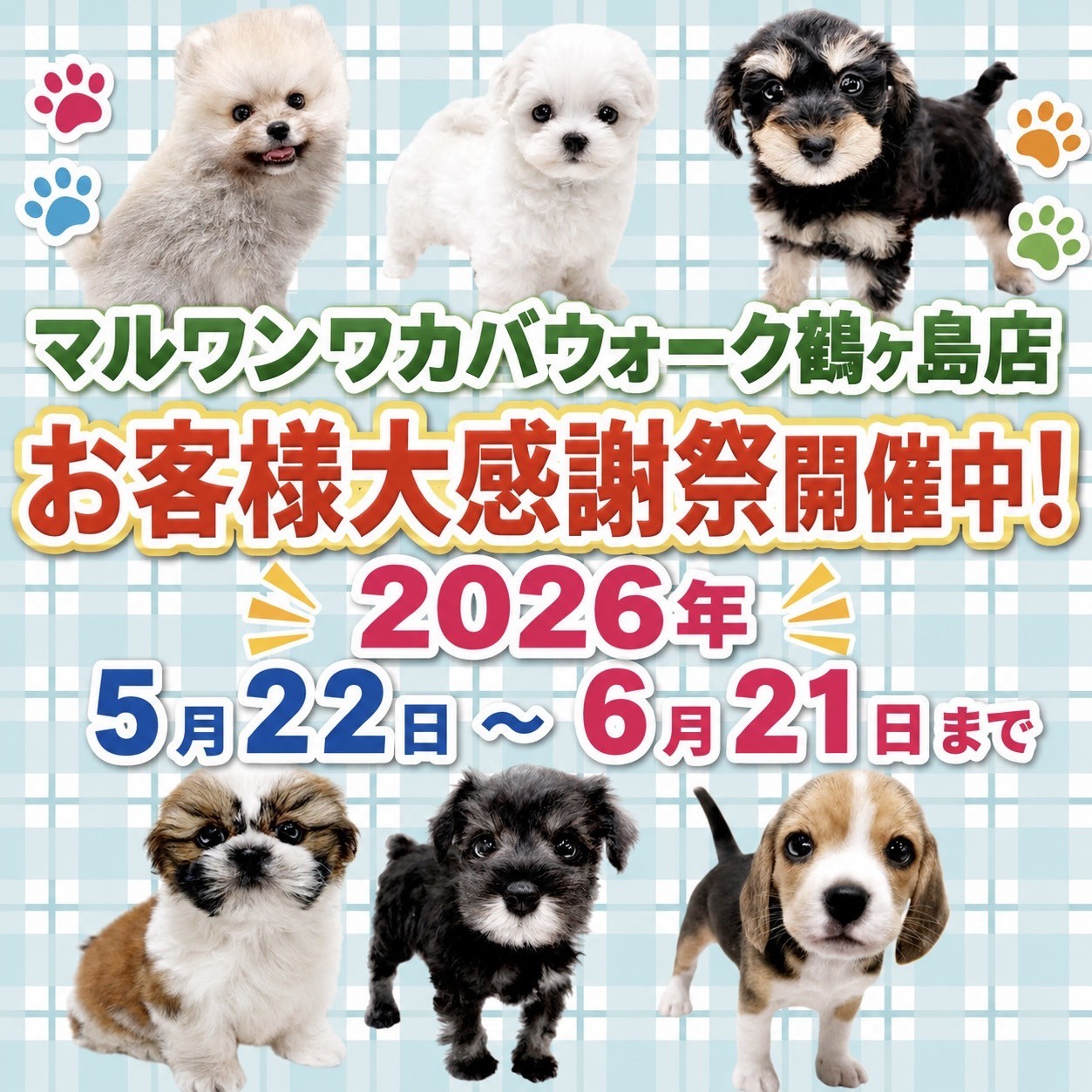 お知らせ 】お客様大感謝祭開催！マルワンワカバウォーク鶴ヶ島店の