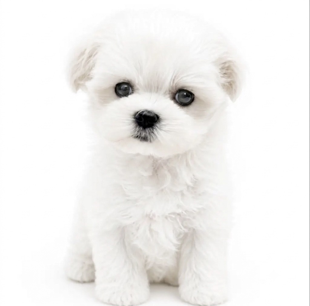 bb3fa8d87adf3139ad23cfde207146